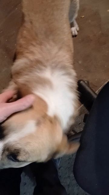 Делитесь теплом