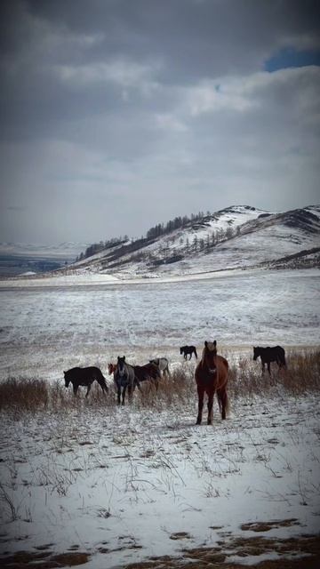 11-04-2026 казановка всегда в моей памяти !