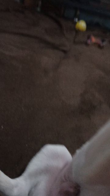 что с ним делать