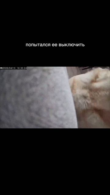 Дени попался😁