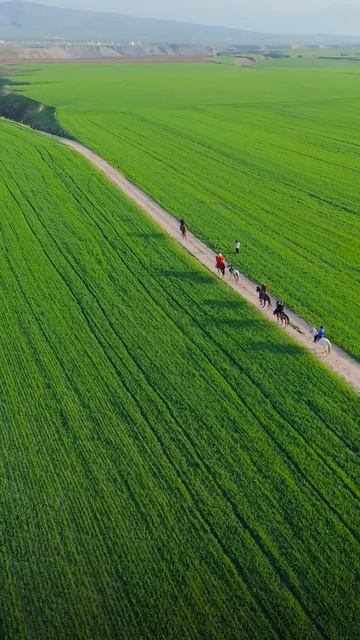 ЗЕЛЕНЬ ОСОБЕННО ПОЛЕЗНА В САЛАТЕ ЖИЗНИ,НАМ ВСЕМ ЕЁ НЕ ХВАТАЕТ РАННЕЙ ВЕСНОЙ...