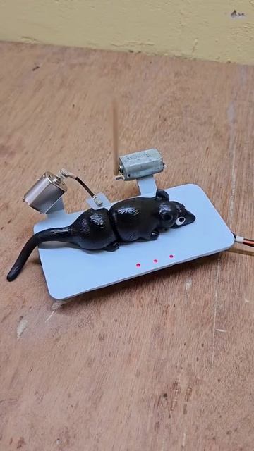 Мышенаказуха