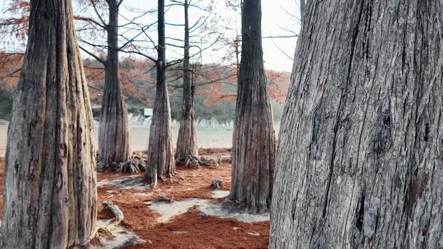 Кипарисовое Озеро Сукко