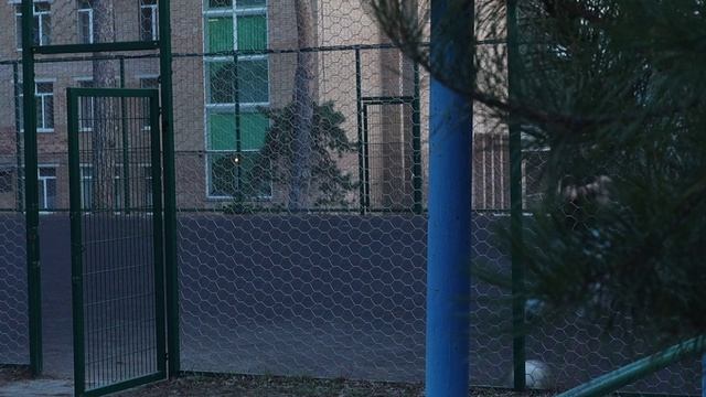 Мусор в кадре