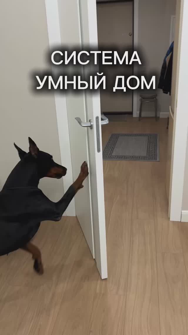 УМНЫЙ ДОМ 🏠🐾