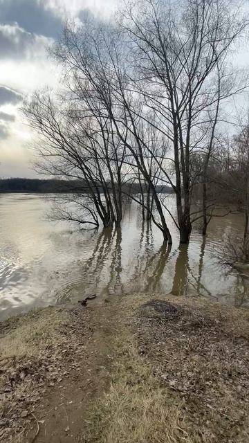 Пик разлива река Уфа 11-04-2026