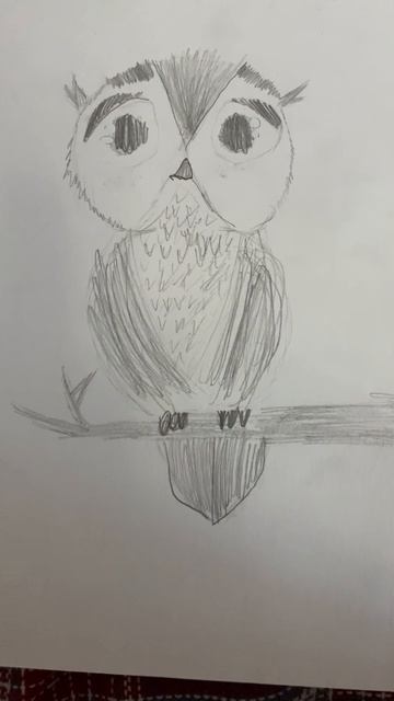 Сова на ветке