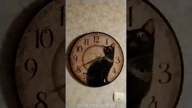 Улица Кубинка. Звук удара от соседей два года. 11.04.2026 вечер перед Пасхой