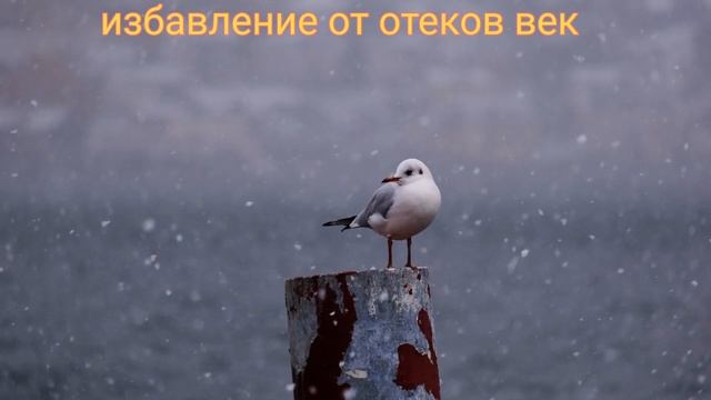 ⚡️Саблиминал от отеков век. унисекс