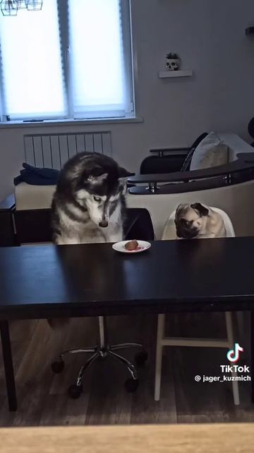 0f73c2fc7bb09252e933eea068b5176d.mp4