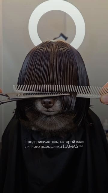 ТОП-10 ПРИЧИН, ПОЧЕМУ ПРЕДПРИНИМАТЕЛИ ВЫБИРАЮТ ЛИЧНОГО АССИСТЕНТА LLAMAS