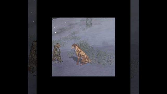 Мини фильм WildCraft 