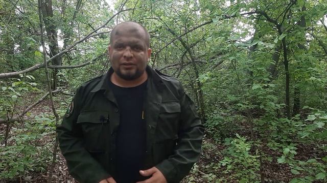 Защита от комаров в лесу, авторский метод