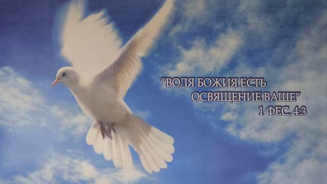 Последствия своеволия