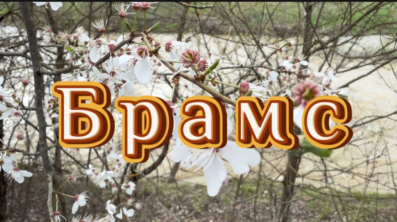 Брамс, Адажио из Сонаты №3, классическая музыка