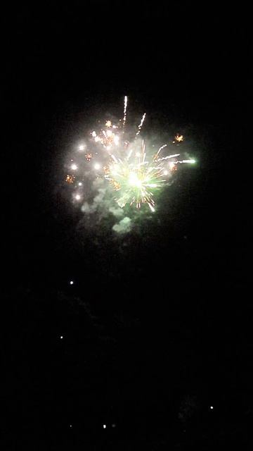 ASB113_Звон_бокалов_4908