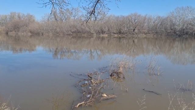 Вода прибывает у моста в Малом Чаусово Курган 11.04.2026