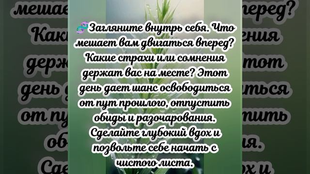 Квантовый прогноз на сегодня, 11.04.2026г.