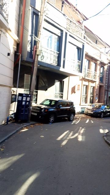 мир на ладони.