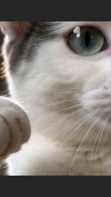 Машина 😈😈😈