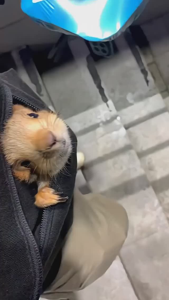 В мире доброты #funny #reels #shorts