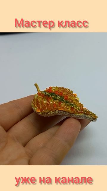 InShot_20251104_195750799