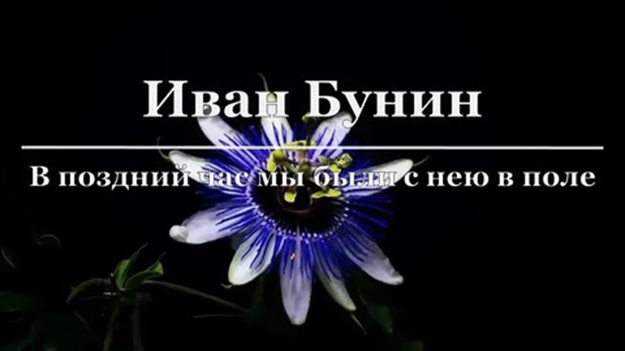 34с В поздний час мы были с нею в поле ИБ