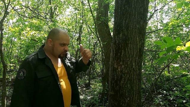 Как защититься от нападения настоящего оборотня в лесу