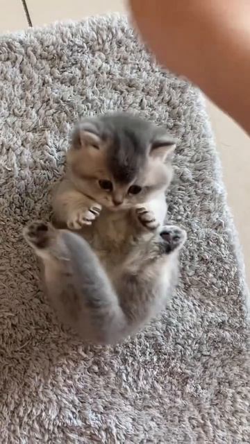 Автор видео: 7mmmmmmm319