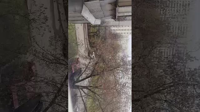 подписка взаимно