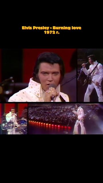 #майлз #копипаста #плагиат #плагиатилисовпадение #ДимаЖуравлев #баста #фит #песня #трек #музыка #mus