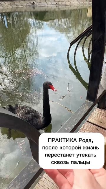 ПРАКТИКА Рода, после которой жизнь перестанет утекать сквозь пальцы