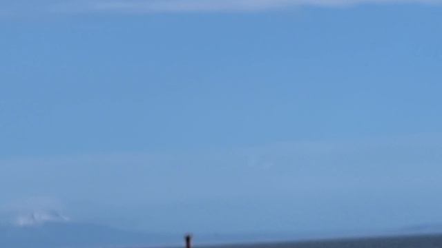 58.Радиоэмма: а из нашего окна..