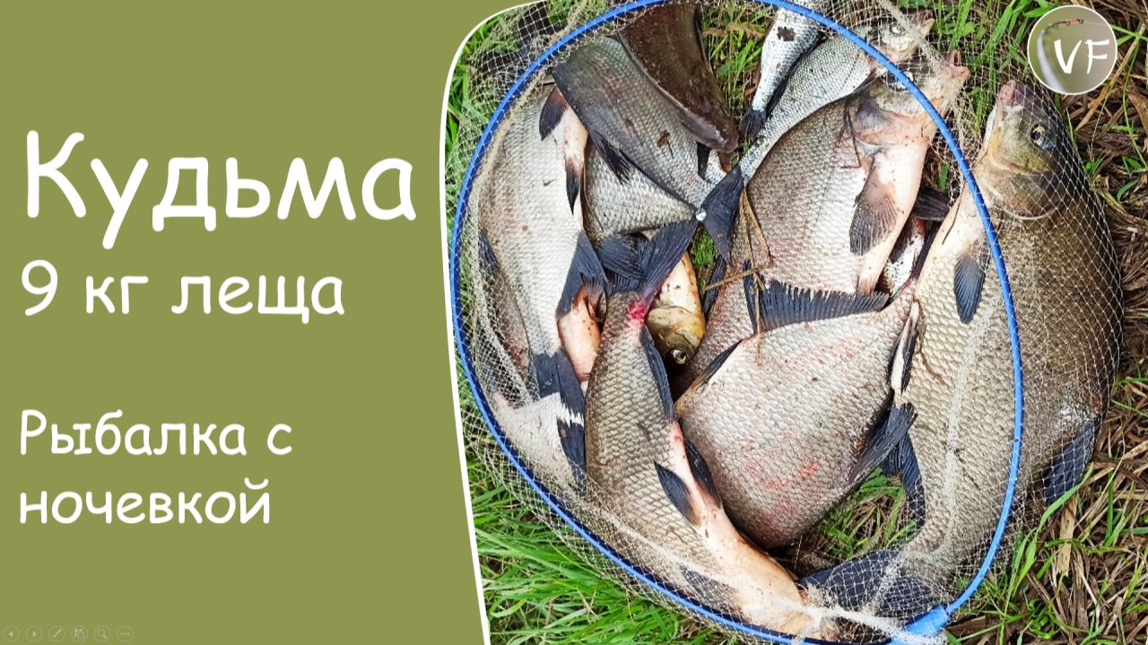 Ловля леща на фидер на малой реке! Что делать, когда не работает мотыль и опарыш...