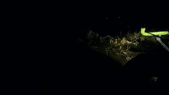 РАЗДАЧА! Ловим ночных лещей! Рыбалка на фидер до запрета!  #feeder #рыбалка