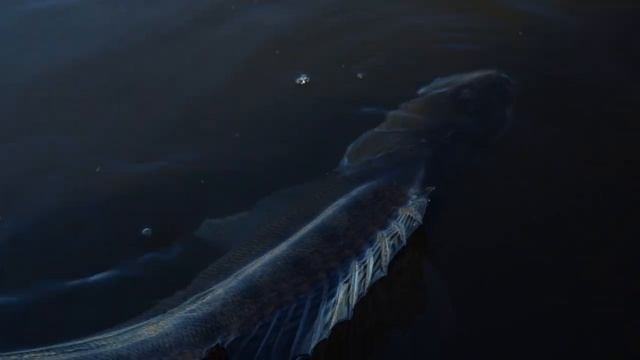 Правильная проводка крупного СЛАГА, БЕЗ эхолота! Рыбалка на спиннинг с каяка.