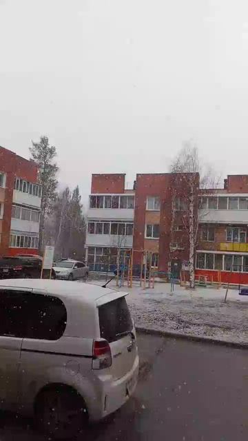 Снег в середине апреля. Это Сибирь, детка!