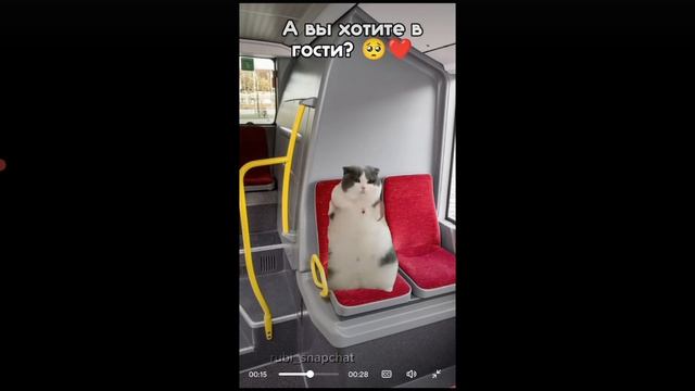 Пов: Я В Автобусе🎧 𐙚 🐾