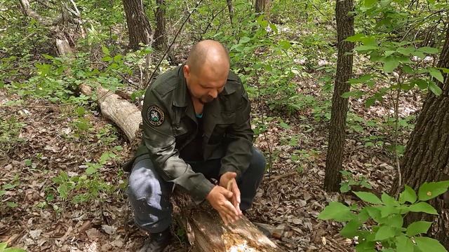 Самый плохой способ добычи огня в лесу