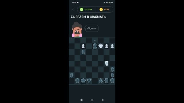 играю в шахматы с Оскаром.mp4