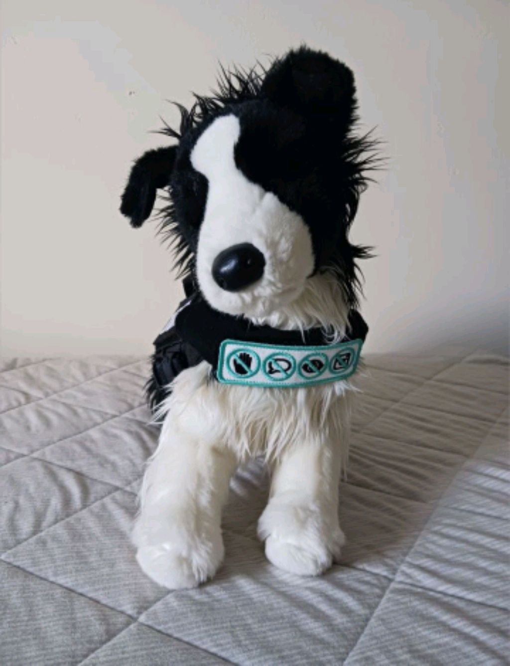 трансляция