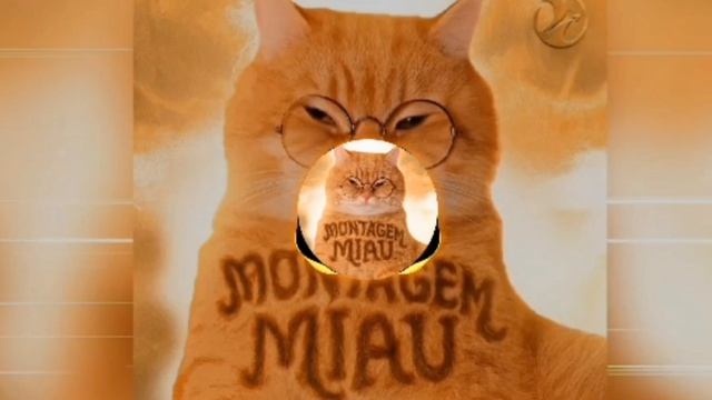 котик  мяу-мяу быстрая музыка 3 минуты и одна секунда