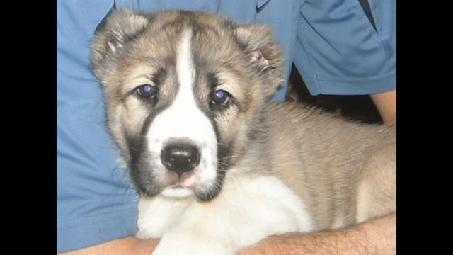 C3bfca48d5cd300666533dc14772e789