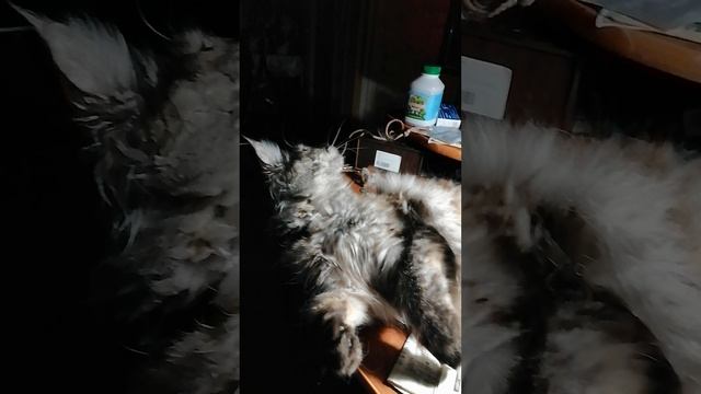 Грустная днюха в 58 лет. Страстная пятница.