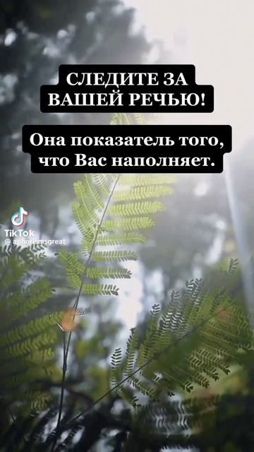 наш язык и речь