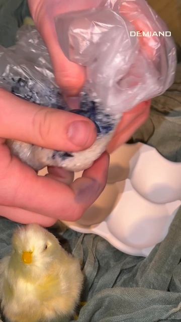 Copy_6ACCFA0C-EDC2-498E-8AC8-61A082F16F32