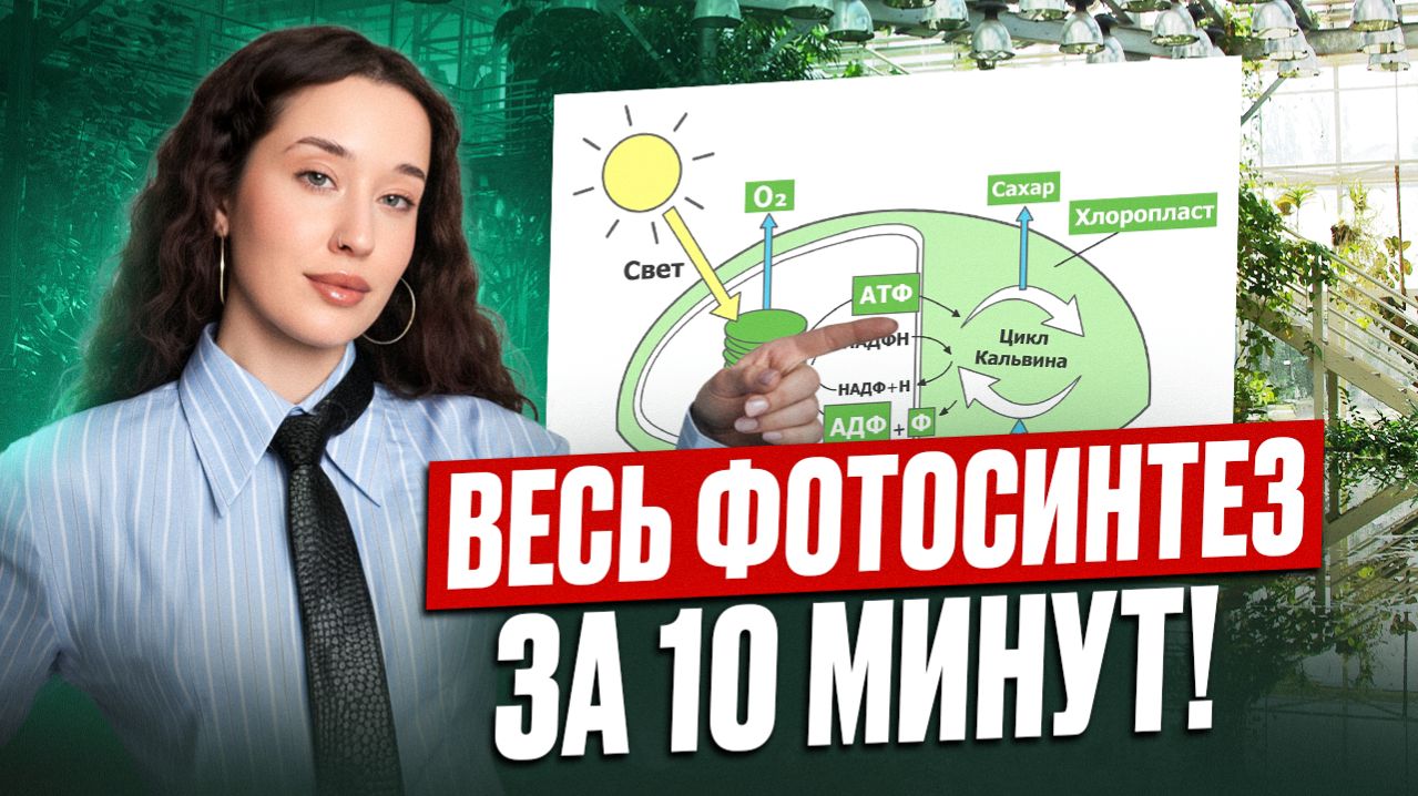ВСЕ про ФОТОСИНТЕЗ легко и понятно для ЕГЭ по биологии! Биология с полного нуля за 11 минут