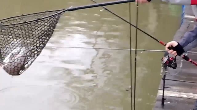 8b0f8c423180b9f7d05314726602847f