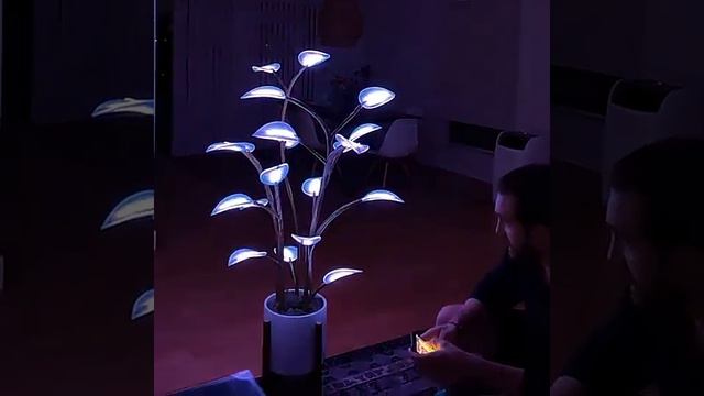 Волшебная лампа-растение  AliexLED