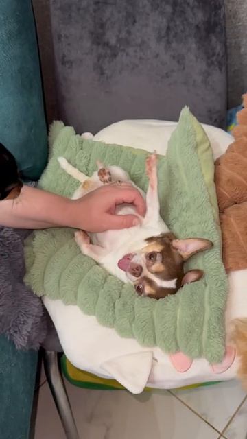 Самая балдежная.